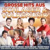 VARIOUS  - CD GROSSE HITS AUS..