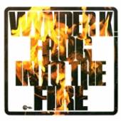  INTO THE FIRE [VINYL] - suprshop.cz