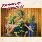  PHANTASTIC FERNITURE [VINYL] - suprshop.cz