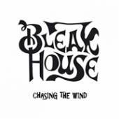  CHASING THE WIND [VINYL] - supershop.sk