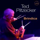 TED PILTZECKER  - CD BRINDICA