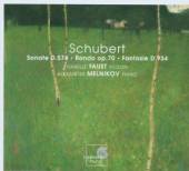 SCHUBERT  - CD DUOS POUR PIANO & VIOLON