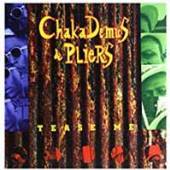 CHAKA DEMUS & PLIERS  - 2 TEASE ME