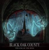 BLACK OAK COUNTY  - VINYL THEATRE OF THE MIND [VINYL]