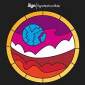  SYNDESTRUCTIBLE-DOWNLOAD- [VINYL] - suprshop.cz