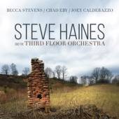  STEVE HAINES AND THE THIRD FLOOR ORCHEST - suprshop.cz