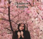 COMBS ANDREW  - CD WORRIED MAN -REISSUE-