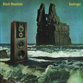 BLACK MOUNTAIN  - VINYL DESTROYER -COLOURED- [VINYL]