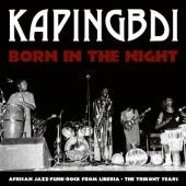  BORN IN THE NIGHT LTD. [VINYL] - supershop.sk