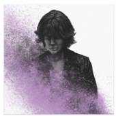  DESTROYER [LTD] [VINYL] - suprshop.cz