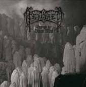 PERISHED  - VINYL THROUGH THE BLACK MIST [VINYL]