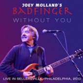 JOEY MOLLANDS BADFINGER  - CD LIVE IN SELLERSVILLE, PA, 2010