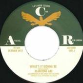 ARI XIANTONI  - SI WHAT'S IT GONNA BE /7