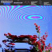 FRIENDLY FIRES  - CD INFLORESCENT