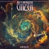 SHERWOOD BILLY  - CD CITIZEN IN THE NEXT LIFE