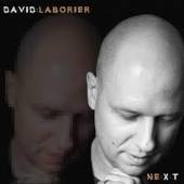 LABORIER DAVID  - VINYL NE:E:T LTD. [VINYL]