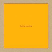  LEAVING MEANING [VINYL] - suprshop.cz