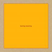 SWANS  - CD LEAVING MEANING