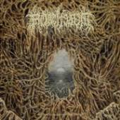 MORTIFERUM  - VINYL DISGORGED FROM.. [VINYL]