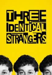 DOCUMENTARY  - DV THREE IDENTICAL STRANGERS