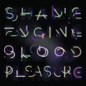  SHAME NEGINE/BLOOD P [VINYL] - supershop.sk