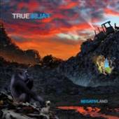  TRUE FALSE [VINYL] - supershop.sk