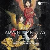 BACH JOHANN SEBASTIAN  - CD ADVENT CANTATAS