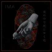 IMA  - VINYL FLOWERS DIE IN BURNING.. [VINYL]