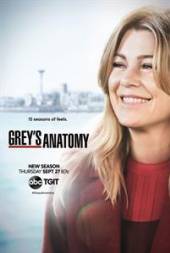  GREY'S ANATOMY SEASON 15 - supershop.sk