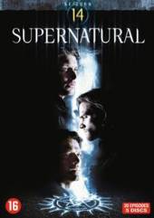  SUPERNATURAL SEASON 14 - suprshop.cz