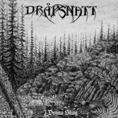 DRAPSNATT  - VINYL I DENNA SKOG [VINYL]