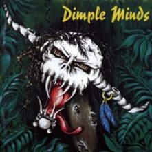 DIMPLE MINDS  - CD MAXIMUM DEBILUM