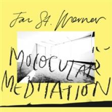 ST. WERNER JAN  - VINYL MOLOCULAR MEDITATION [VINYL]