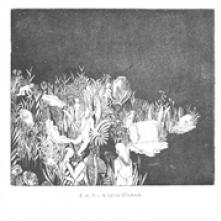 R.O.T.  - CD KLEIN EILAND