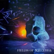 FIELDS OF NAECLUDE  - CD FIELDS OF NAECLUDE