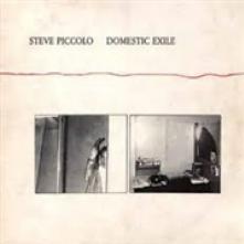 PICCOLO STEVE  - VINYL DOMESTIC EXILE [VINYL]