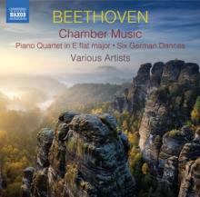 BEETHOVEN LUDWIG VAN  - 2xCD CHAMBER MUSIC