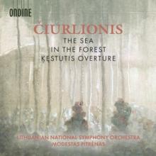 CIURLIONIS M.K.  - CD SEA/IN THE FOREST