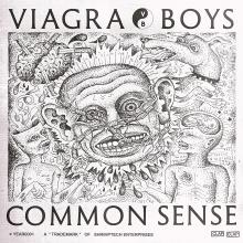  COMMON SENSE [VINYL] - supershop.sk