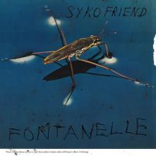  FONTANELLE LTD. [VINYL] - supershop.sk