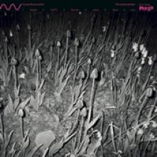 CUCINA POVERA & ELS  - VINYL OYSTERCATCHER [VINYL]