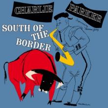  SOUTH OF THE.. -COLOURED- [VINYL] - suprshop.cz