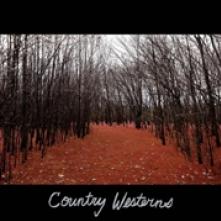  COUNTRY WESTERNS [VINYL] - suprshop.cz