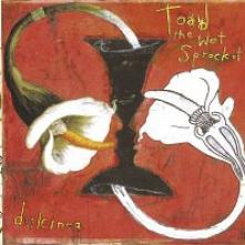 TOAD THE WET SPROCKET  - CD DULCINEA BONUS TRACK