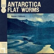 FLAT WORMS  - CD ANTARCTICA