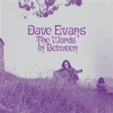 EVANS DAVE  - CD THE WORDS IN BETWEEN