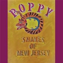  SNAKES OF NEW JERSEY [VINYL] - supershop.sk