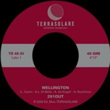 291OUT  - VINYL WELLINGTON [VINYL]