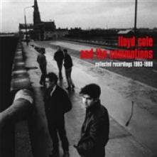 LLOYD COLE & THE COMMOTIONS  - VINYL COLLECTED RECO..