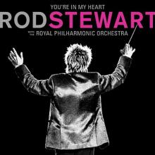 STEWART ROD  - 2xVINYL YOU'RE IN MY..